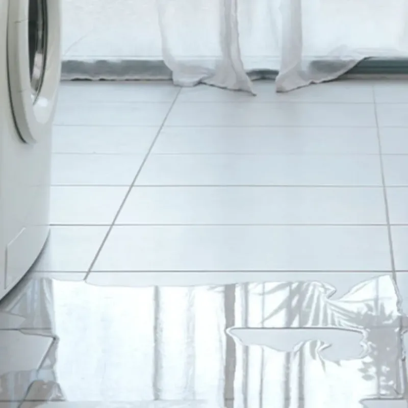 Appliance Leak Cleanup in Knik-Fairview, AK