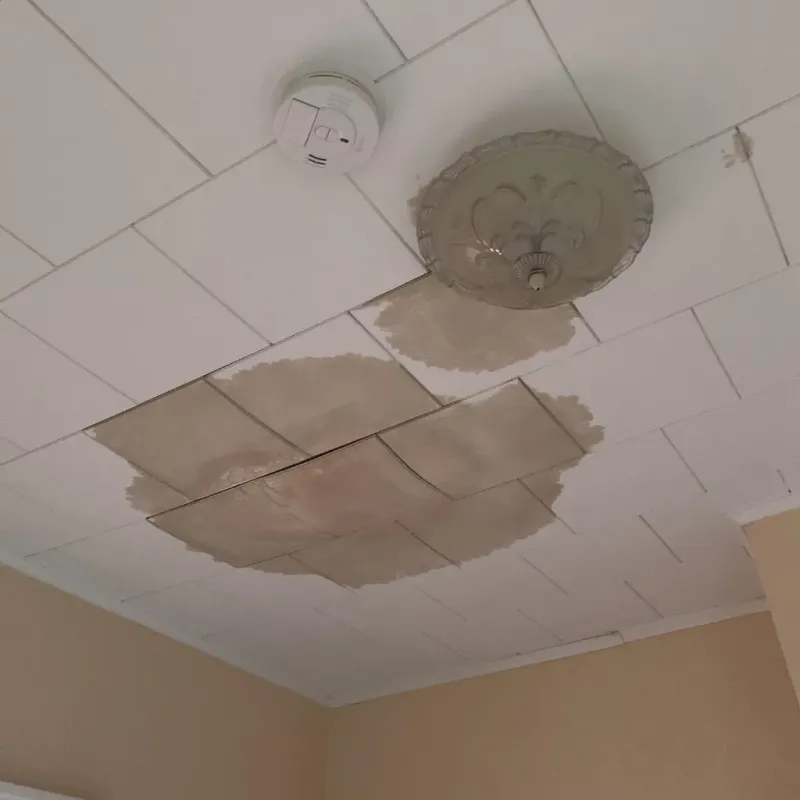Ceiling Water Damage Repair in Knik-Fairview, AK