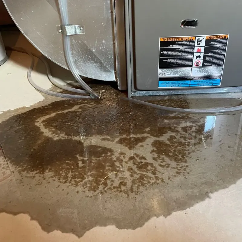 Pipe Burst and Leak Restoration in Knik-Fairview, AK