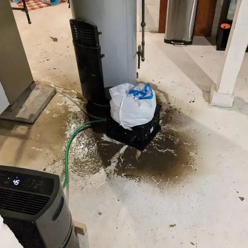 Sewage Backup Cleanup Service in Knik-Fairview, AK